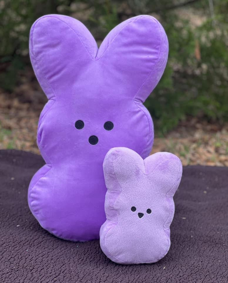 Customized Stuffed Peeps with name and date