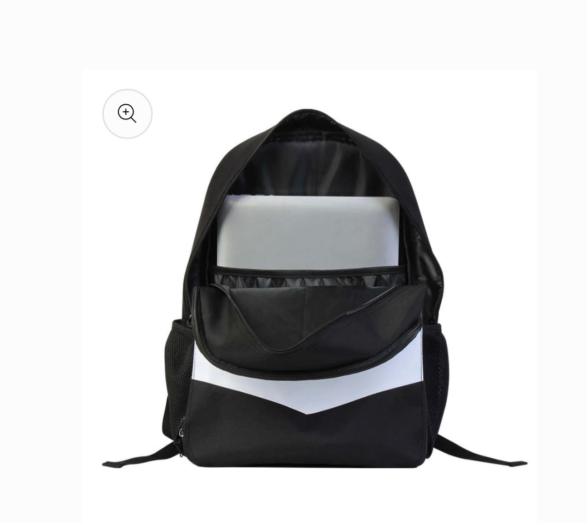 Back packs with laptop holder or without